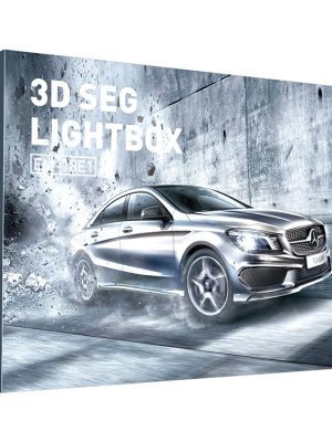 3D-SEG-Lightbox-EM-08E1